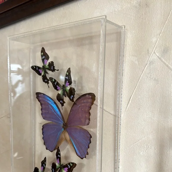 Vibrant Blue and Black Butterfly Art